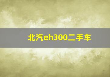 北汽eh300二手车