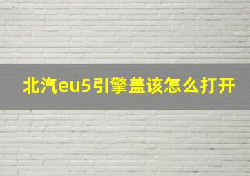 北汽eu5引擎盖该怎么打开