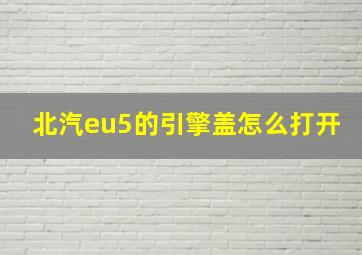 北汽eu5的引擎盖怎么打开