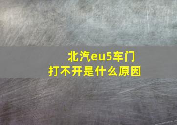 北汽eu5车门打不开是什么原因