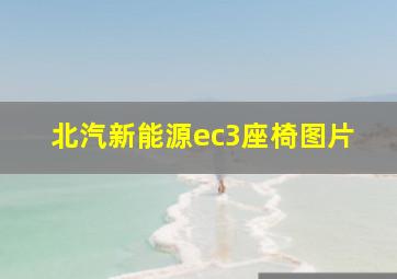 北汽新能源ec3座椅图片