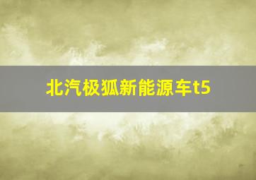 北汽极狐新能源车t5