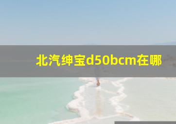 北汽绅宝d50bcm在哪