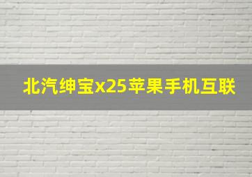 北汽绅宝x25苹果手机互联