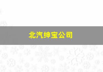 北汽绅宝公司