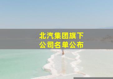 北汽集团旗下公司名单公布