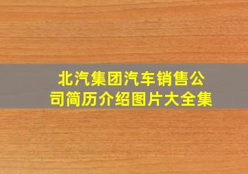 北汽集团汽车销售公司简历介绍图片大全集