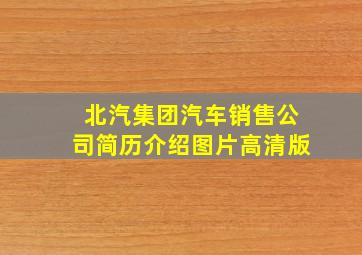 北汽集团汽车销售公司简历介绍图片高清版