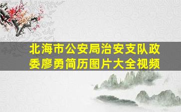 北海市公安局治安支队政委廖勇简历图片大全视频