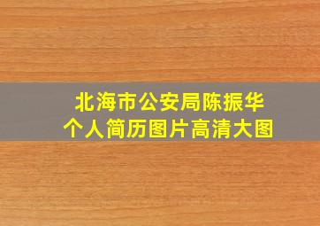 北海市公安局陈振华个人简历图片高清大图