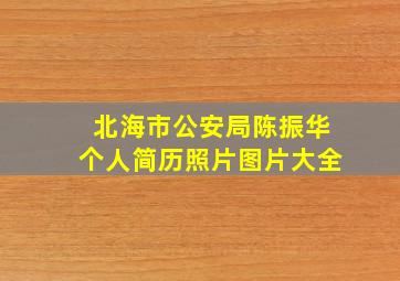 北海市公安局陈振华个人简历照片图片大全