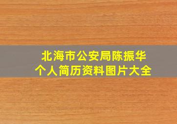 北海市公安局陈振华个人简历资料图片大全