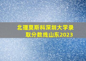 北理莫斯科深圳大学录取分数线山东2023