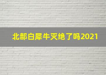 北部白犀牛灭绝了吗2021