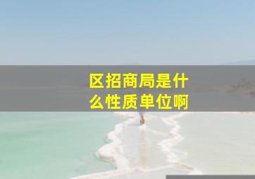 区招商局是什么性质单位啊