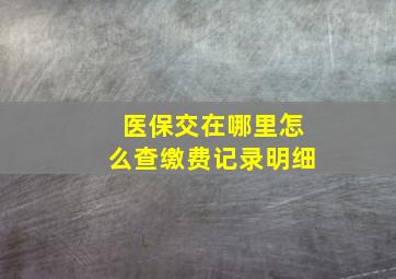 医保交在哪里怎么查缴费记录明细