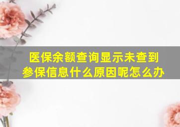 医保余额查询显示未查到参保信息什么原因呢怎么办