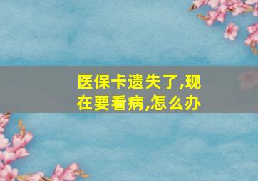 医保卡遗失了,现在要看病,怎么办