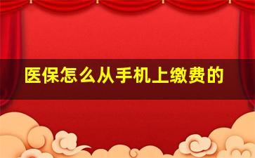 医保怎么从手机上缴费的