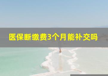 医保断缴费3个月能补交吗