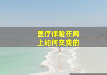 医疗保险在网上如何交费的