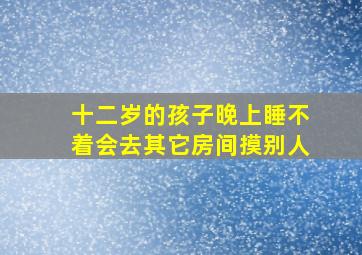 十二岁的孩子晚上睡不着会去其它房间摸别人