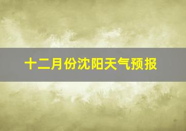 十二月份沈阳天气预报