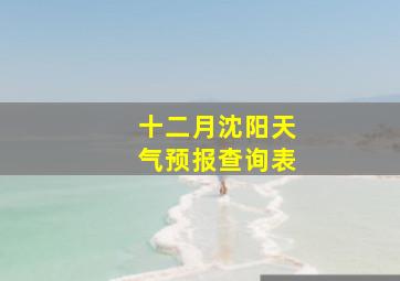 十二月沈阳天气预报查询表