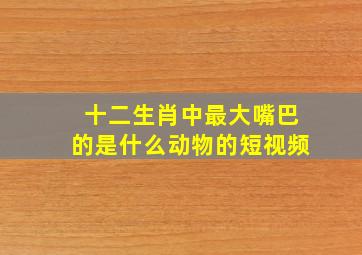 十二生肖中最大嘴巴的是什么动物的短视频