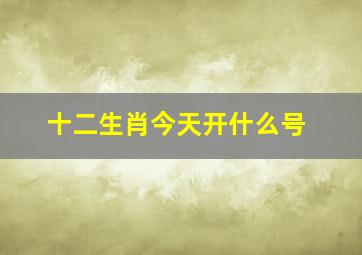 十二生肖今天开什么号