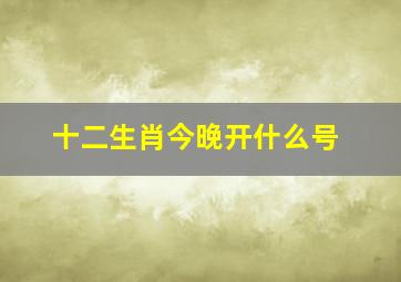 十二生肖今晚开什么号