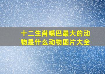 十二生肖嘴巴最大的动物是什么动物图片大全