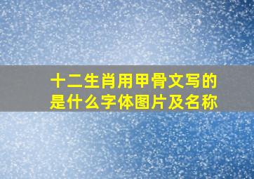 十二生肖用甲骨文写的是什么字体图片及名称