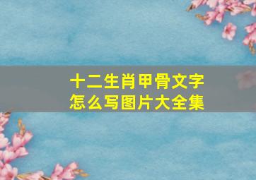 十二生肖甲骨文字怎么写图片大全集