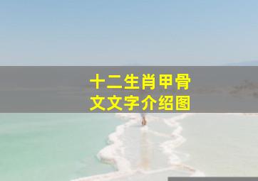 十二生肖甲骨文文字介绍图