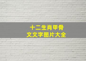 十二生肖甲骨文文字图片大全