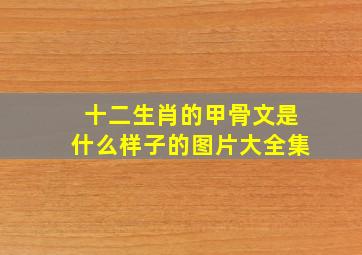 十二生肖的甲骨文是什么样子的图片大全集