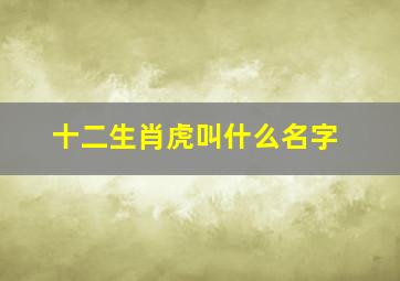 十二生肖虎叫什么名字