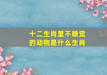 十二生肖里不睡觉的动物是什么生肖