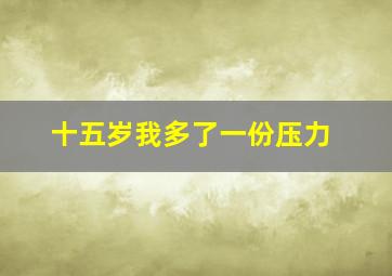 十五岁我多了一份压力