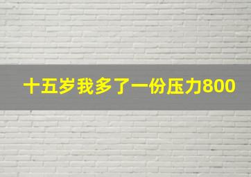 十五岁我多了一份压力800