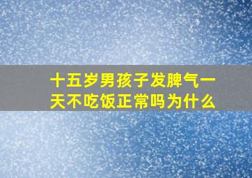 十五岁男孩子发脾气一天不吃饭正常吗为什么