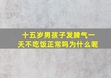 十五岁男孩子发脾气一天不吃饭正常吗为什么呢