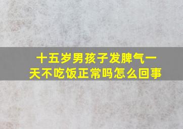 十五岁男孩子发脾气一天不吃饭正常吗怎么回事