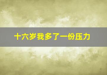 十六岁我多了一份压力