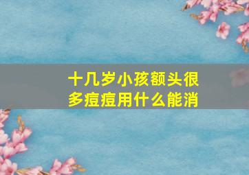 十几岁小孩额头很多痘痘用什么能消