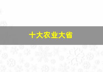 十大农业大省