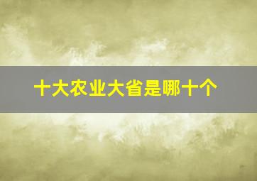 十大农业大省是哪十个