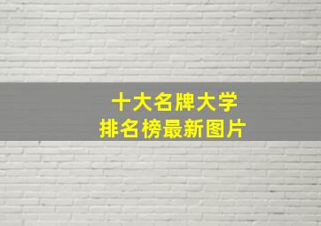 十大名牌大学排名榜最新图片