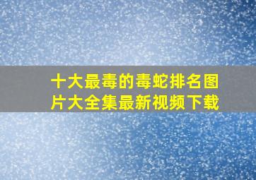 十大最毒的毒蛇排名图片大全集最新视频下载